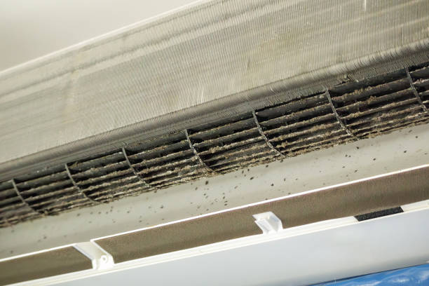 Best Best Air Duct Cleaning Near Me  in Navarre, FL